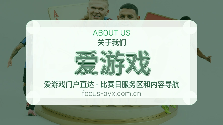 爱游戏关于我们